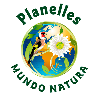 Logotipo para móvil de Woostify