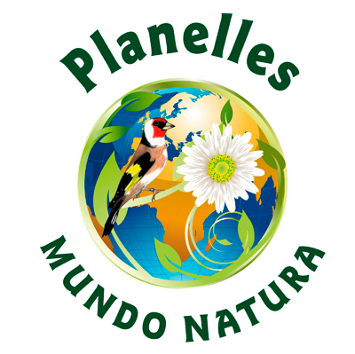 Logotipo retina de Woostify