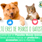 alimentación perros